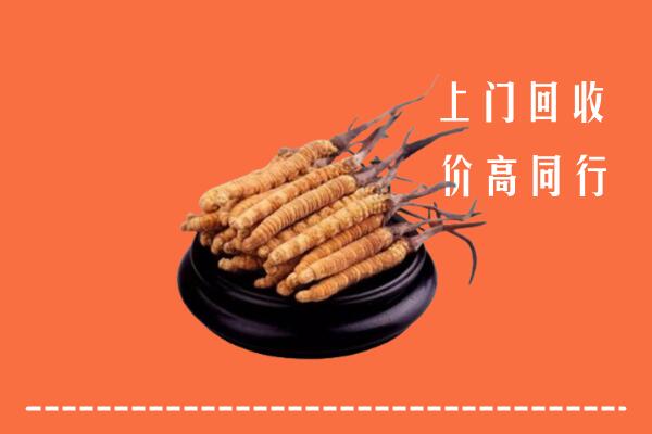 高价求购：普洱市西盟县回收散虫草