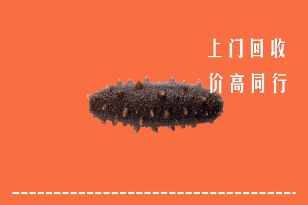 高价求购：普洱市西盟县回收海参