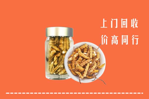普洱市西盟县回收冬虫夏草
