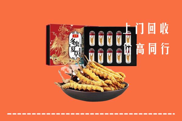普洱市西盟县回收虫草